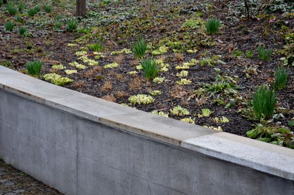 Concrete Wall Construction in Longmont