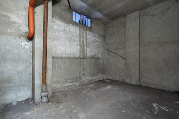 Basement Wall Construction in Longmont