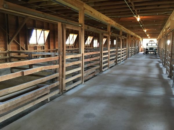 Barn Slab Construction in Longmont